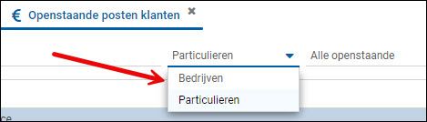 Venster voor de selectie van het type openstaande klanten in WAVEDESK Credit