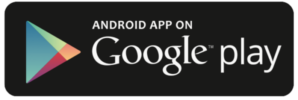 Logo Google play store